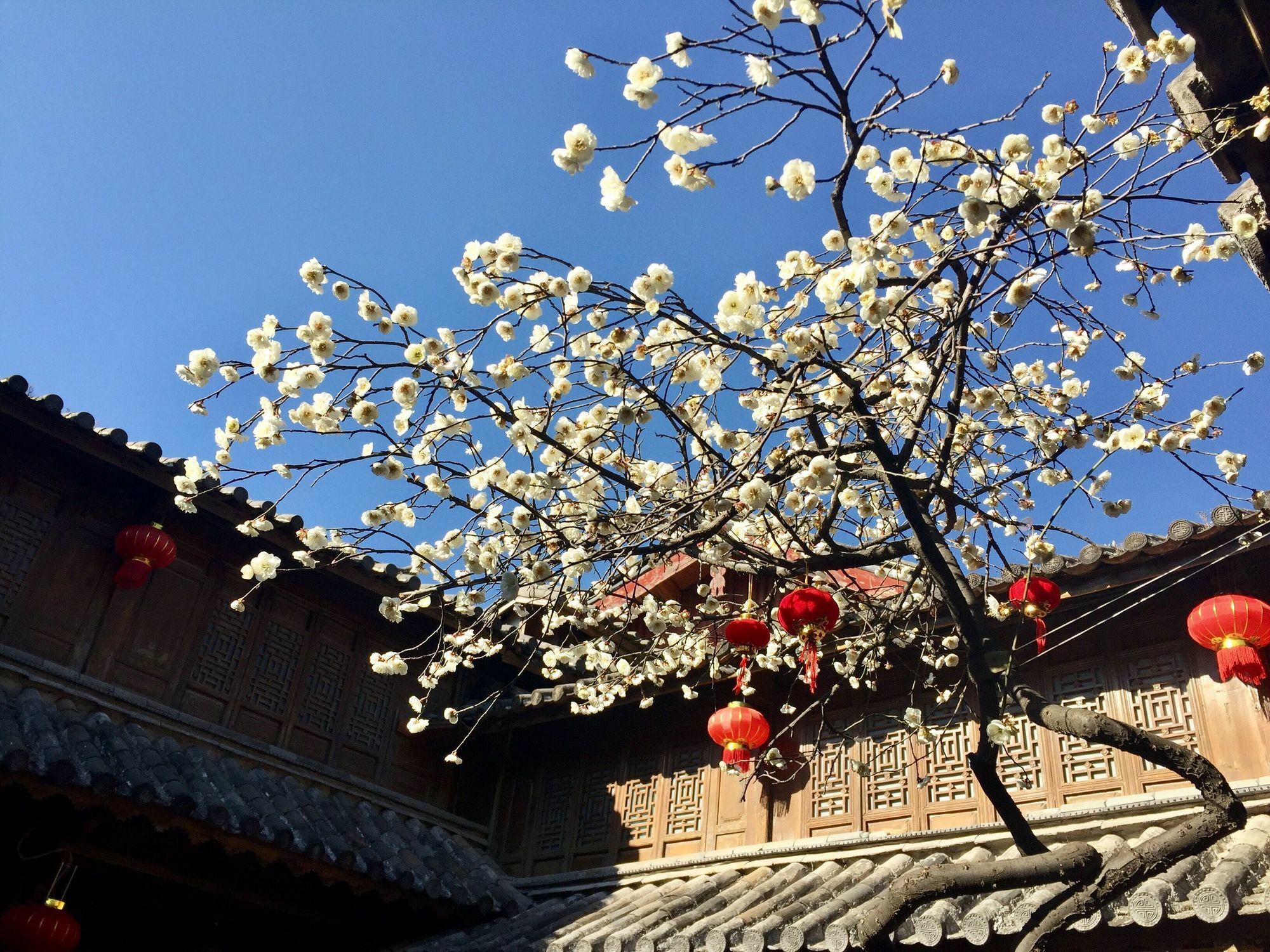 Lize Graceland Artistic Suite Inn Lijiang  Exterior photo